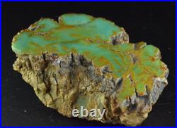 Chromium Petrified Wood, Gokwe, Zimbabwe, 64x41x26mm