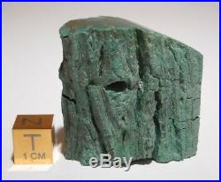 Chromium Petrified Wood Winslow Arizona Old Stock specimen Polished RARE 47g