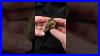 Chunk_Of_Petrified_Wood_Fossil_Rockhounding_Petrifiedwood_01_lreg