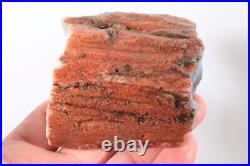 Crooked River Agate Fossil Limb Wood Cast 10 lb 10 oz rough lot