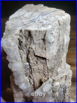 Crystalized Petrified Wood with vien 2.6lbs
