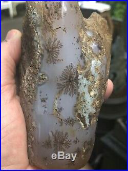 Dendritic Limb Cast from Crooked River Oregon polished, 1.91 lbs