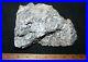Devonian_Rhynie_Chert_HUGE_fossil_plant_block_ideal_for_thin_sections_7_inches_01_tpi