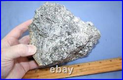 Devonian Rhynie Chert plant fossil BLOCK, RARE 2 kilos make offer last one #2