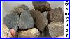 Dinosaur_Bone_Rough_From_The_Quartzsite_Gem_And_Mineral_Show_2025_Gemcabochons_Agates_01_vm