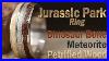 Diy_Jurassic_Park_Ring_Made_From_Dinosaur_Bone_Meteorite_Petrified_Wood_And_Titanium_01_abe