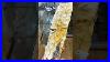 Druzy_Petrified_Wood_Crystals_Crystalshop_Minerals_Fineminerals_Druzy_Petrifiedwood_Fossil_01_ib
