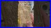 Druzy_Petrified_Wood_Wholesale_Lot_4pcs_1088g_Tw_98_Crystals_Crystalshop_Minerals_Wholesale_01_tutg