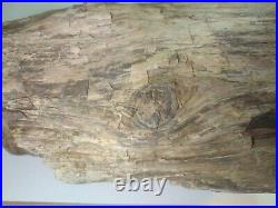 Eastern Oregon Petrified Wood Rough Round with knots- Over 17-1/2 lbs