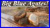 Epic_Day_On_The_Yellowstone_Big_Blue_Agates_Jaspers_Petrified_Wood_Coral_And_Baculites_01_nzex