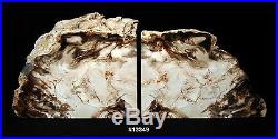 Equisite Petrified Wood Bookends 11 3/8 wide 7 3/4 high 1 7/8 thick, 10.8 lbs
