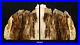 Exquisite_Petrfied_Wood_Bookends_11_1_8_wide_5_5_8_tall_2_thick_7_4_pounds_01_gjsn