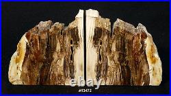 Exquisite Petrfied Wood Bookends 11 1/8 wide, 5 5/8 tall, 2 thick, 7.4 pounds