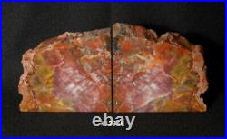 Exquisite Petrified Woo Bookends10 3/4 w x 6 1/4 tall x 2 thick 9.8 lbs