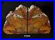 Exquisite_Petrified_Wood_Bookends11_3_4_wide_6_7_8_tall_1_7_8_thick_11_2_lbs_01_xywr