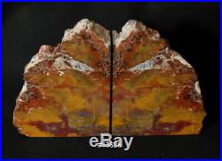 Exquisite Petrified Wood Bookends11 3/4 wide 6 7/8 tall 1 7/8 thick 11.2 lbs