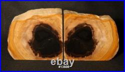 Exquisite Petrified Wood Bookends11 3/8 wide 6 1/8 high, 1 3/4 thick 10.2 lbs