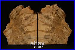 Exquisite Petrified Wood Bookends 11 1/4 wide 6 1/2 tall, 1 5/8 thick 8.2 lbs