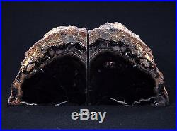 Exquisite Petrified Wood Bookends 11 3/4 wide 6 tall 1 3/4 Thick 8.4 lbs