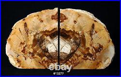 Exquisite Petrified Wood Bookends 11 3/4wide 6 3/4 high 1 5/8 thick 8.6 lbs