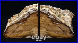 Exquisite Petrified Wood Bookends 11 3/8 wide 5 7/8 tall 1 5/8 thick 7.0 lbs