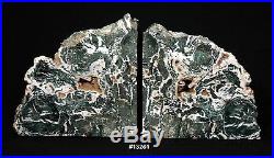 Exquisite Petrified Wood Bookends 12 5/8 wide, 7 high, 1 3/4 thick, 10.0 lbs