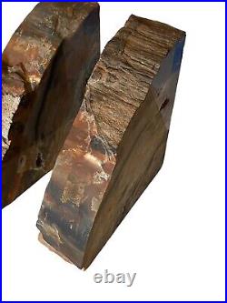 Exquisite Petrified Wood Bookends 12 wide, 6 high, 2 Thick And Weigh 10lbs 3oz
