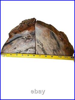 Exquisite Petrified Wood Bookends 12 wide, 6 high, 2 Thick And Weigh 10lbs 3oz
