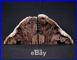 Exquisite Petrified Wood Bookends 13 wide, 7 5/8 tall, 1 3/4 thick, 9.8 lbs