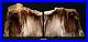 Exquisite_Petrified_Wood_Bookends_9_3_4_wide_6_3_4_tall_1_5_8_thick_7_6_lbs_01_ffm