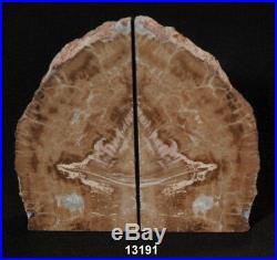 Exquisite Petrified Wood Bookends 9 3/4 wide 9 high 1 3/4 thick 12.0 lbs