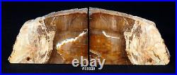 Exquisite Petrified Wood Bookends 9 wide, 6 5/8 tall, 1 1/2 thick, 6.2 lbs