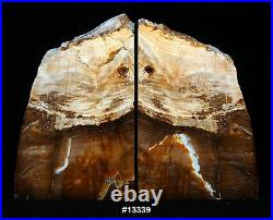 Exquisite Petrified Wood Bookends 9 wide, 6 5/8 tall, 1 1/2 thick, 6.2 lbs