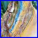 Extra_Large_8_5_Indonesian_Blue_Opalized_Petrified_Wood_Raw_Rough_Fossil_Wood_01_qlzt
