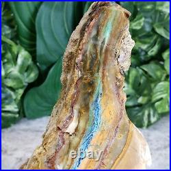 Extra Large 8.5 Indonesian Blue Opalized Petrified Wood Raw Rough Fossil Wood
