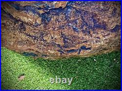Extra Large Agatized Petrified Log Multi Colored Piece Curly Wood 20+lbs