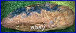 Extra Large Agatized Petrified Log Multi Colored Piece Curly Wood 20+lbs