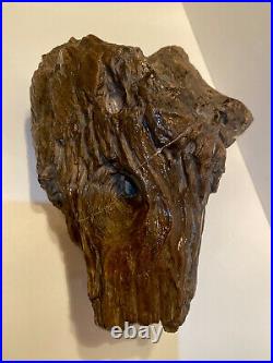 Extremely Rare Lifelike Petrified Wood Tree Log, (8.5lx7w)