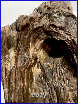 Extremely Rare Lifelike Petrified Wood Tree Log, (8.5lx7w)