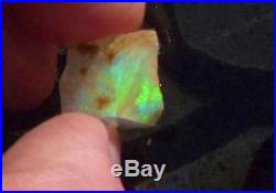 FIRE! 17.8cts Virgin Valley Precious Opal Petrified Wood Nevada 21mm