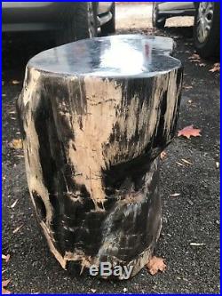 Fantastic petrified wood polished stool 16 tall 14 width 150 lbs beautiful