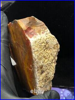 Fiery Red Opal Agate Petrified Wood Specimen Polished Face Natural Arizona Rare