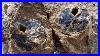 Finding_Museum_Quality_Petrified_Wood_In_The_Blue_Forest_01_tash