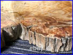 Fine Large Madagascar Petrified Wood Slab
