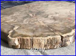 Fine Madagascar Petrified Wood Slab