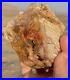 Fire_Red_Opal_Agate_Petrified_Wood_Mineral_Specimen_Translucent_Crystal_Rare_01_rd