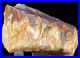 Fire_Red_Opal_Agate_Petrified_Wood_Mineral_Specimen_Translucent_Crystal_Rare_01_wh