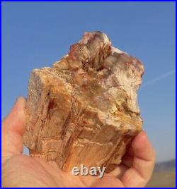 Fire Red Opal Agate Petrified Wood Mineral Specimen Translucent Crystal Rare