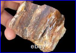 Fire Red Opal Agate Petrified Wood Mineral Specimen Translucent Crystal Rare