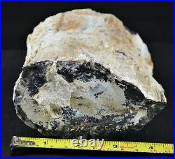 ` For Smaller Cabinets Exceptional Hubbard Basin Petrified Limb, Polished